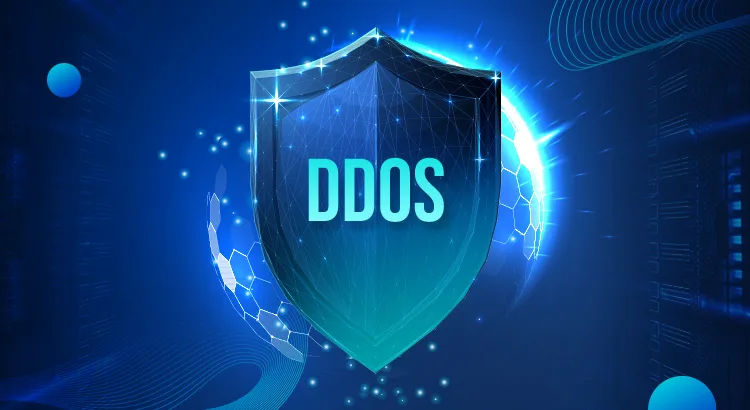 DDoS Protection Company in Coimbatore